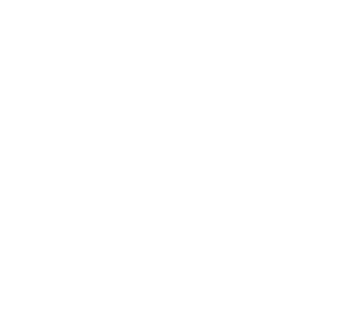 LogoPassaporte_White